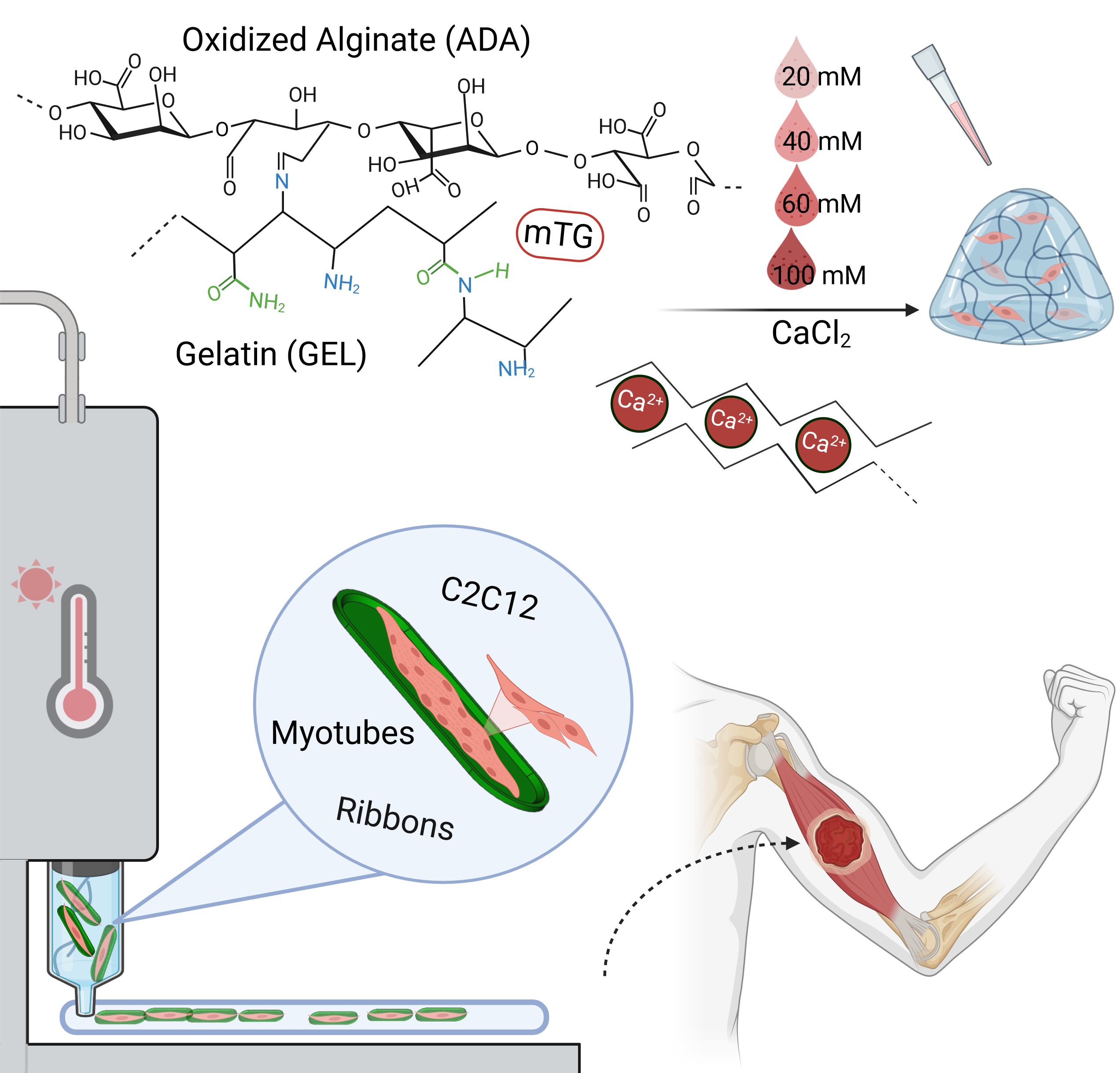 lys new paper is out.